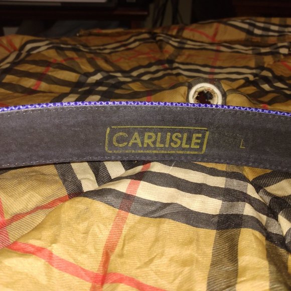 ❤️CARLISLE Blue Reptile Belt with Jeweled Gem Gold Buckle Sz 31-35 main image 6